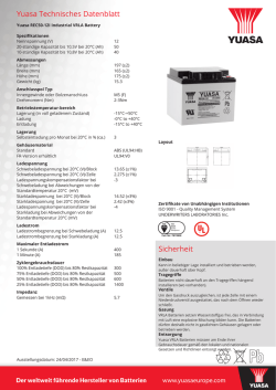 Yuasa REC50-12I Industrial VRLA Battery