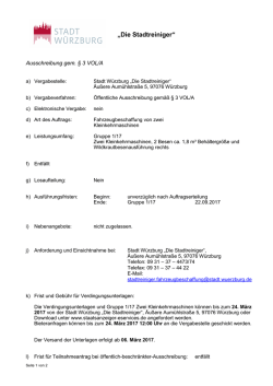 Die Stadtreiniger