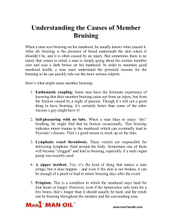 Understanding the Causes of Member Bruising