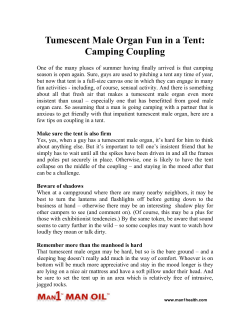 Tumescent Male Organ Fun in a Tent: Camping Coupling