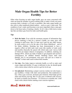 Male Organ Health Tips for Better Fertility